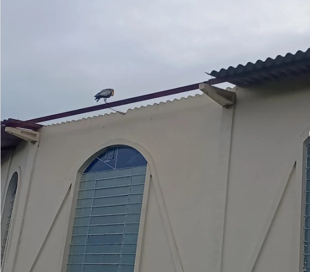 Temporal causa danos em Minas do Leão e suspende celebrações em comunidades atingidas