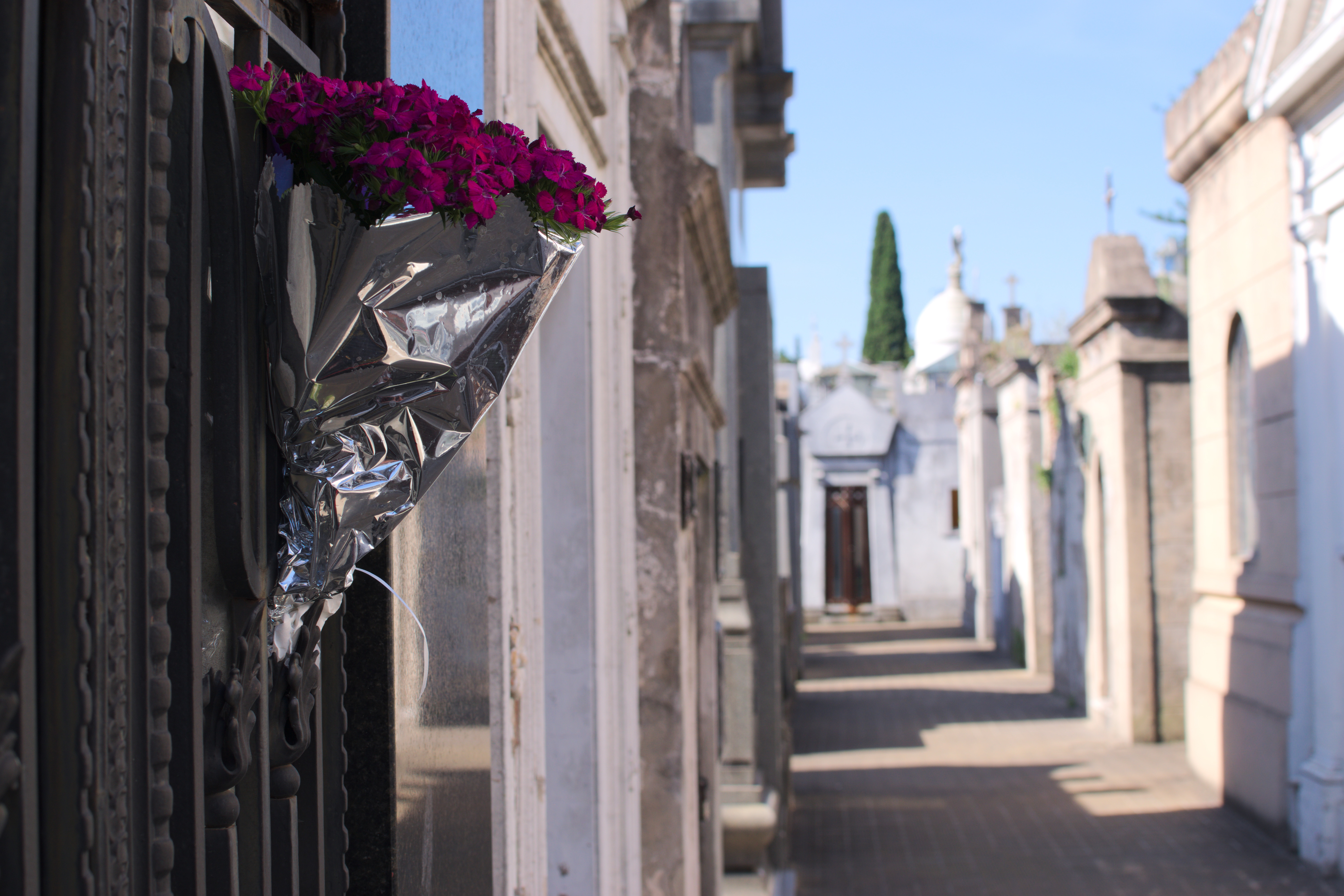 Celebração de Finados na Arquidiocese de Porto Alegre