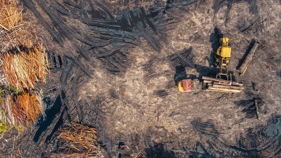 CNBB e organismos eclesiais rejeitam PL de Licenciamento Ambiental aprovado pela Câmara dos Deputados